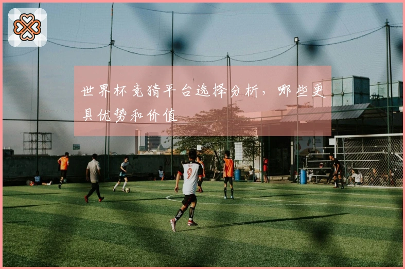世界杯竞猜平台选择分析，哪些更具优势和价值