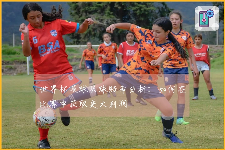 世界杯滚球买球赔率分析：如何在比赛中获取更大利润