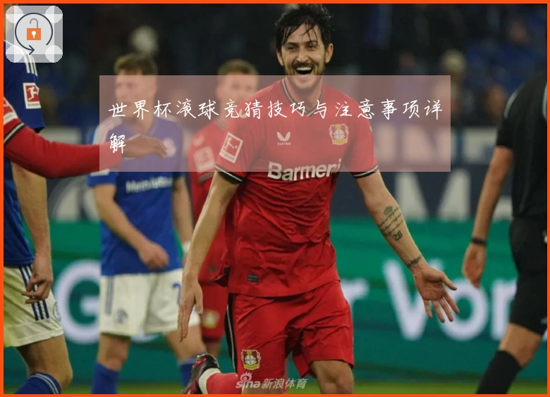 世界杯滚球竞猜技巧与注意事项详解