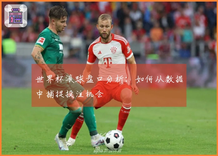 世界杯滚球盘口分析：如何从数据中捕捉投注机会