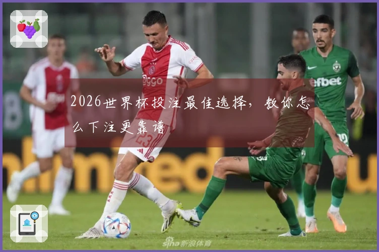 2026世界杯投注最佳选择，教你怎么下注更靠谱