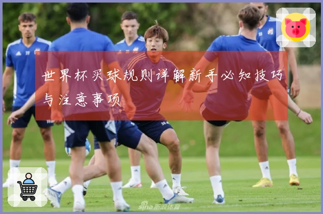 世界杯买球规则详解新手必知技巧与注意事项