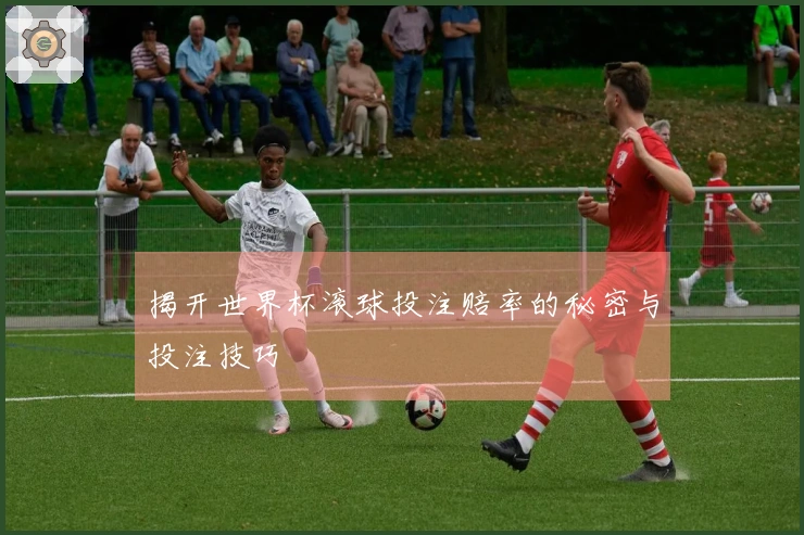 揭开世界杯滚球投注赔率的秘密与投注技巧