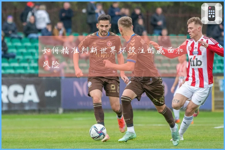 如何精准判断世界杯投注的赢面和风险
