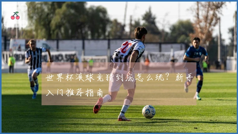 世界杯滚球竞猜到底怎么玩？新手入门推荐指南