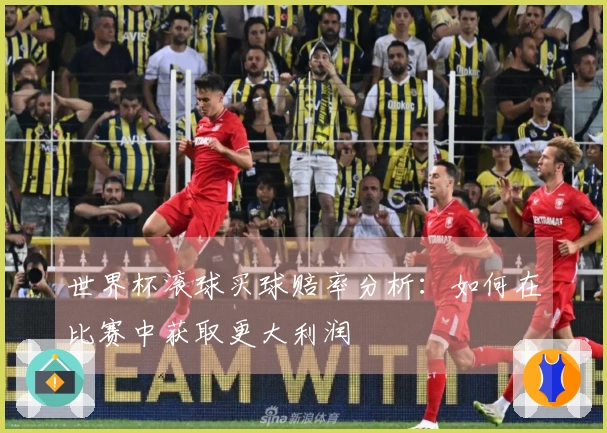 世界杯滚球买球赔率分析：如何在比赛中获取更大利润