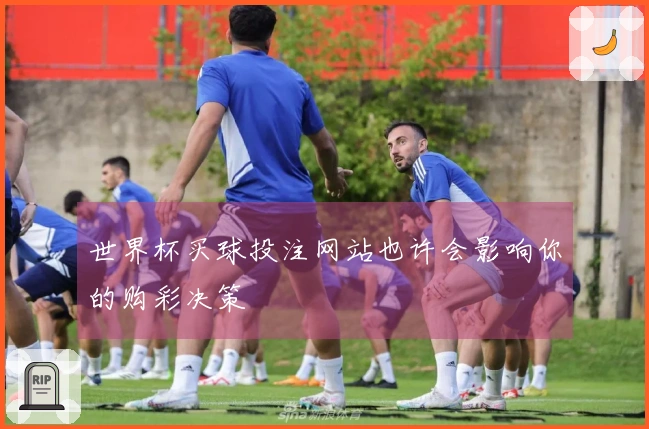 世界杯买球投注网站也许会影响你的购彩决策